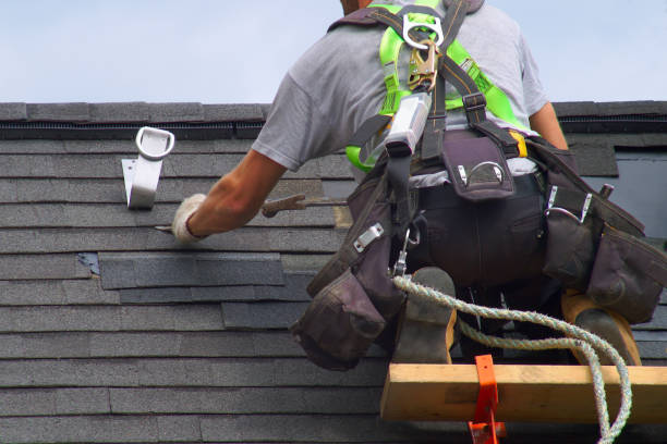Best Shingle Roofing Installation  in Hustisford, WI