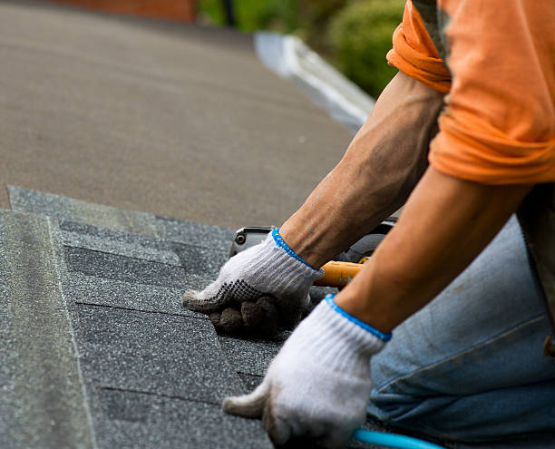 Best Roof Waterproofing Services  in Hustisford, WI